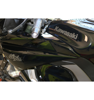 Kawasaki Ninja Z 1000 SX